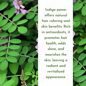 Prisa Organics Indigo Powder Hair (Black Color) (3 x 100g) (1Pack)