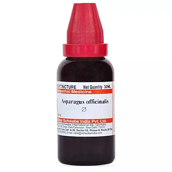 Willmar Schwabe India Asparagus Officinalis 1X (Q) (30ml)