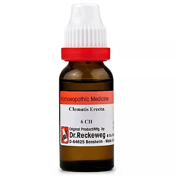 Dr Reckeweg Clematis Erecta 6 CH (11ml)