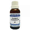 Jhactions Syzygium Jambolanum 1X (Q) (30ml)
