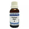 Jhactions Plantago Major 1X (Q) (30ml)