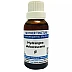 Jhactions Hydrangea Arborescens 1X (Q) (30ml)