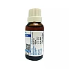 Jhactions Hydrangea Arborescens 1X (Q) (30ml)