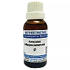 Jhactions Aesculus Hippocastanum 1X (Q) (30ml)