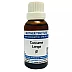 Jhactions Curcuma Longa 1X (Q) (30ml)