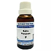 Jhactions Bellis Perennis 1X (Q) (30ml)
