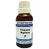 Jhactions Cineraria Maritima 1X (Q) (30ml)