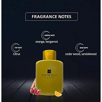New NB Gold Pour Homme Perfume For Men (115ml)