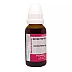Powell's Aspidosperma 1X (Q) (30ml)
