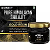 SehatUP Pure Himalayan Shilajit Gold Resin (20g)