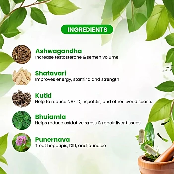 Sheopals Liver X Factor + Herb 69 Vibe Booster Capsules (Each 60Cap) (1Pack)