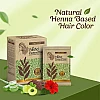 Nisha Nature Mate Henna Based Hair Color Dark Brown Powder (60g, Pack of 3)