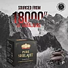 Jaived Shilajit Resin (20g)