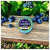 Al Hiba Blue Berry Perfumed Body Cream (10g, Pack of 6)