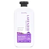 Bio Valley Lavender Body Wash (250ml)
