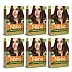 Nisha Creme Hair Color 7.53 Chocolate Blonde (Colorant 20g + Developer 20ml) (1Pack, Pack of 6)