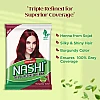 Nashi Triple Refined Henna Powder Burgundy Color (500g)