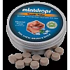 Mintdrops Tooth Tabs (Menthol Fresh) (60tab)