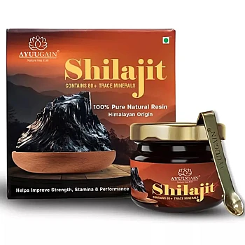 Ayuugain Shilajit Resin Himalayan Origin (30g)