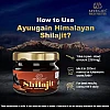 Ayuugain Shilajit Resin Himalayan Origin (30g)