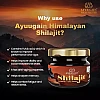 Ayuugain Shilajit Resin Himalayan Origin (30g)