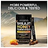 Ayuvya Shilajit Honey Sticks (Cinnamon) (30Stick)