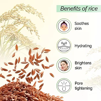 Pyoura Basic Rich Toner Brown Rice Skincare (100ml)