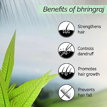 Pyoura Eclipta A Bhringraj Spray Prevents Hair Fall (300ml, Pack of 3)