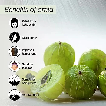 Pyoura Amla Hair Spray Scalp Revitalizer (100ml)