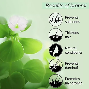 Pyoura Brahmi Hair Spray (100ml)