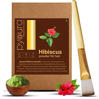 Pyoura Hibiscus Powder For Hair (100g)