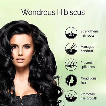 Pyoura Hibiscus Powder For Hair (100g)