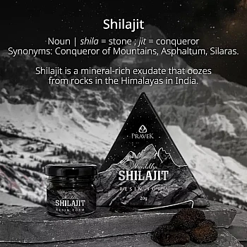 Pravek Shuddha Shilajit Resin Form (20g)