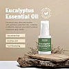 Habibs Eucalyptus Essential Oil (30ml)