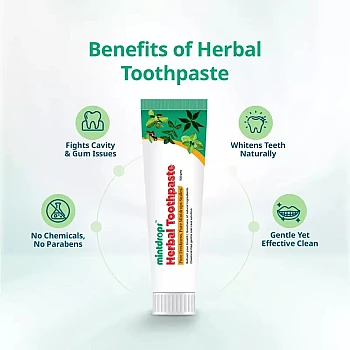 Mintdrops Herbal Toothpaste (100g)