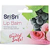 Sri Sri Tattva Lip Balm (10g)