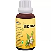 Bio India Bach Flower Wild Rose (100ml)