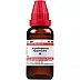 Willmar Schwabe India Aspidosperma 1X (Q) (30ml)