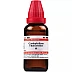 Willmar Schwabe India Caulophyllum Thalictroides 1X (Q) (30ml)