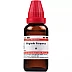 Willmar Schwabe India Digitalis purpurea 1X (Q) (30ml)