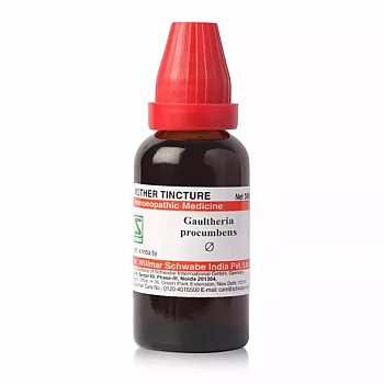 Willmar Schwabe India Gaultheria Procumbens 1X (Q) (30ml)