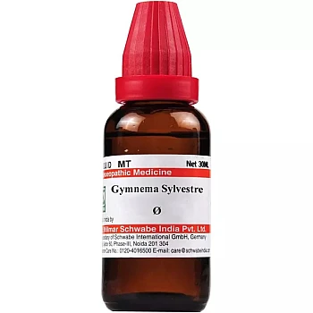 Willmar Schwabe India Gymnema Sylvestre 1X (Q) (30ml)