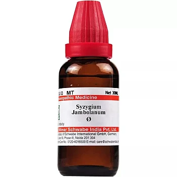Willmar Schwabe India Syzygium Jambolanum 1X (Q) (30ml)
