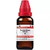 Willmar Schwabe India Terebinthinae Oleum 1X (Q) (30ml)