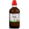 BJain Berberis Vulgaris 1X (Q) (100ml)