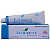 Wheezal Echinacea Ointment (25g)