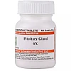 Willmar Schwabe India Pituitary Gland 6X (20g)