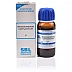 SBL Rhododendron Chrysanthum 1X (Q) (30ml)