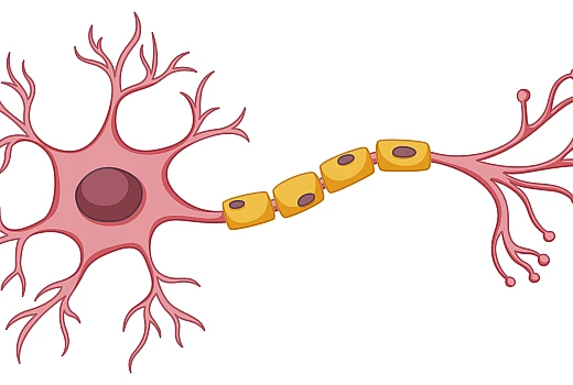 Homeopathy Treatment for Varicose Veins