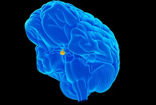 Willmar Schwabe Pituitary Gland 3X